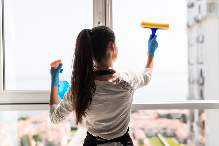 window cleaning in Windsor, Ontario